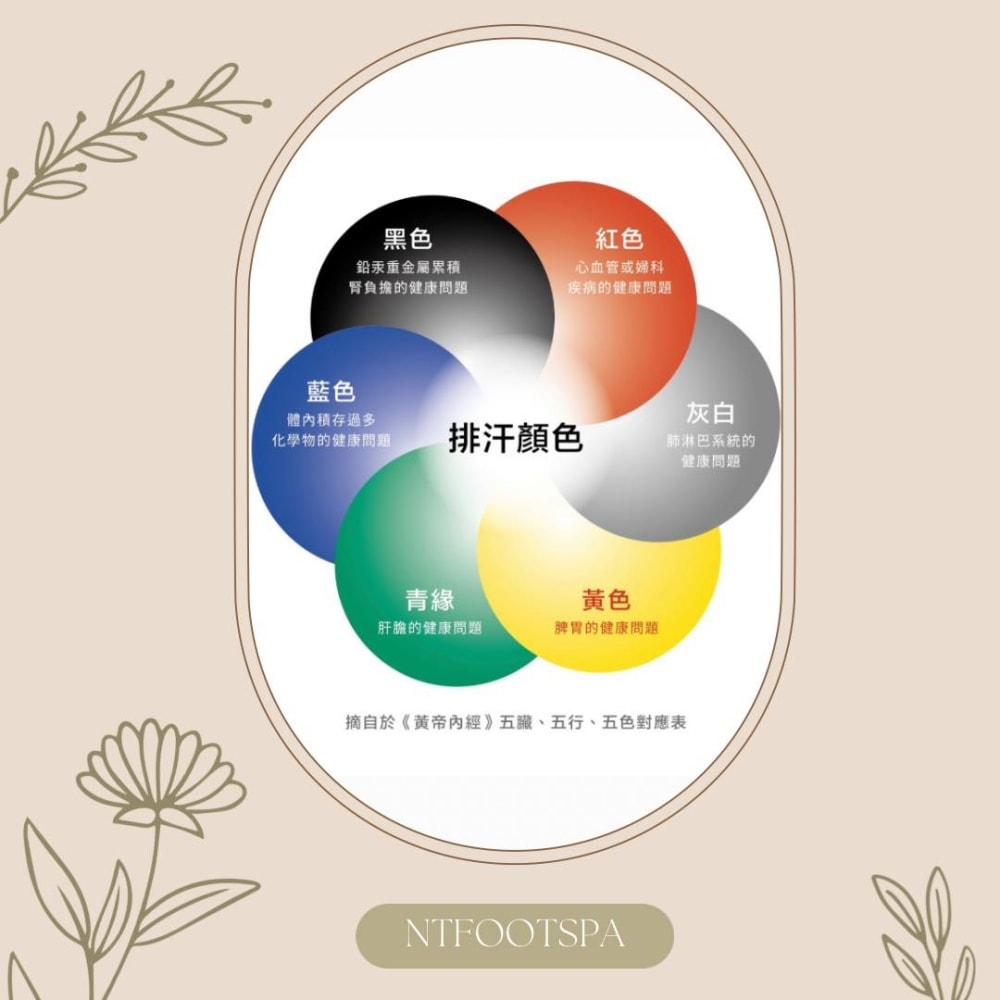 台中蒸足推薦|恩堤蒸足屋體驗,幫助代謝更健康,超夯足蒸養生保健法 - 第22張圖