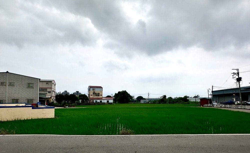 台中楓樹社區農田